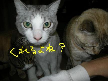 2010-03-01 09:42:03