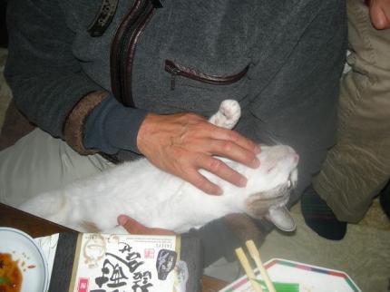 2010-02-08 09:57:32