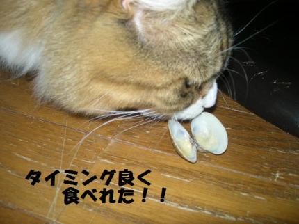 2010-05-21 10:06:05