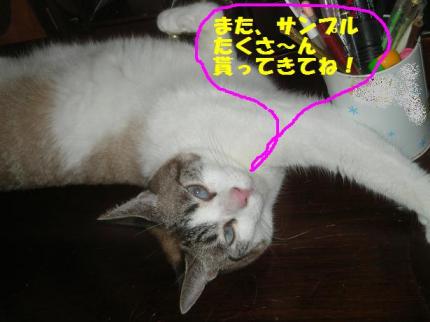 2010-08-20 09:45:58