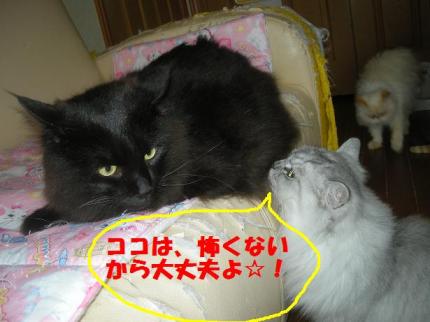 2010-06-21 12:33:45