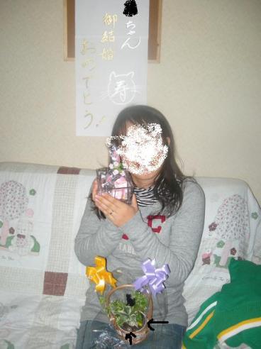 2010-02-08 09:58:24