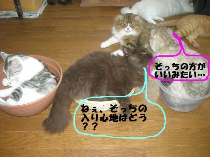 2010-07-24 09:00:04