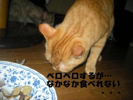 2010-05-21 10:06:56