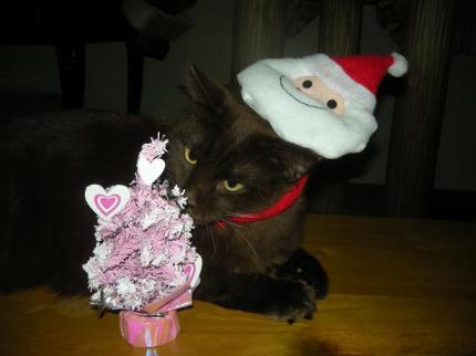 2009-12-24 09:48:55