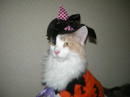 2010-10-31 09:39:48