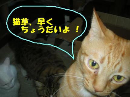 2010-03-20 08:47:28
