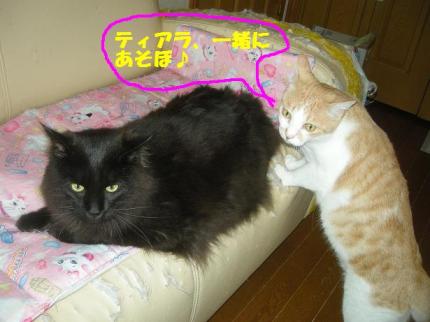 2010-06-21 12:35:44