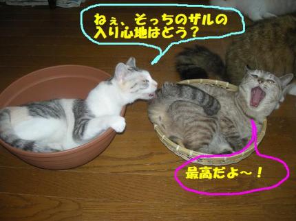 2010-07-24 09:01:44