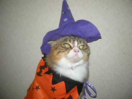 2010-10-31 09:40:13