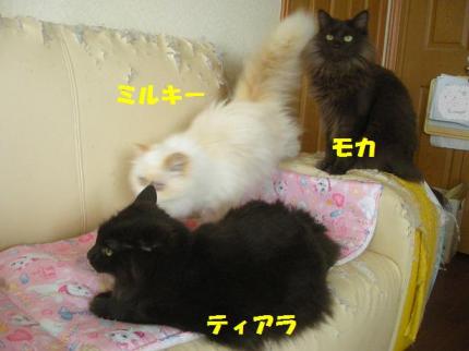 2010-06-21 12:36:09