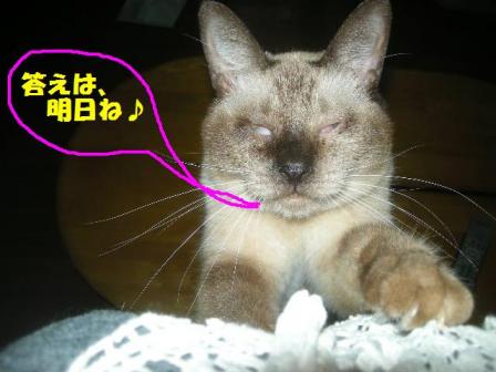 2010-10-21 09:08:58