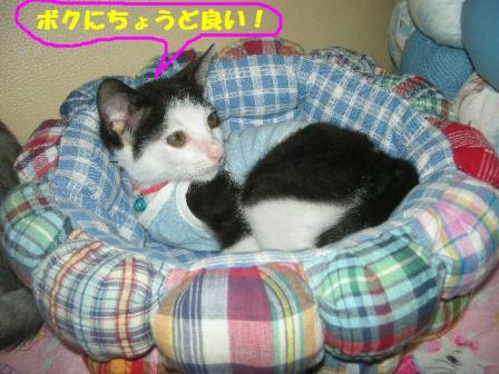 2010-10-10 09:38:26
