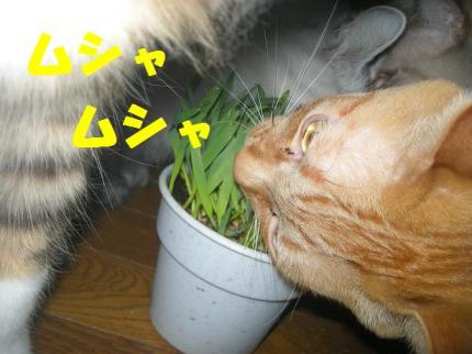 2010-03-20 08:48:07