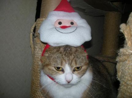 2009-12-24 09:50:00