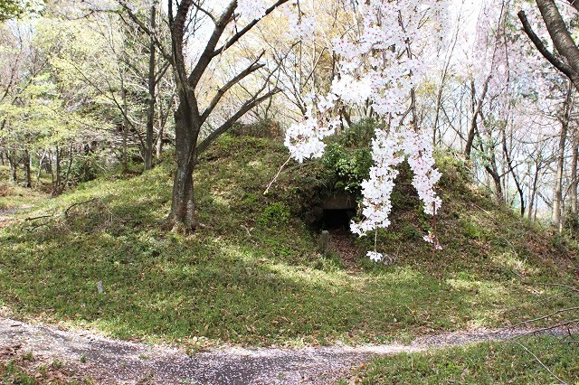 願成寺古墳群　円墳　石室
