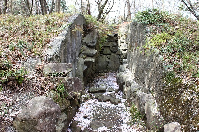 願成寺古墳群　円墳 　石室