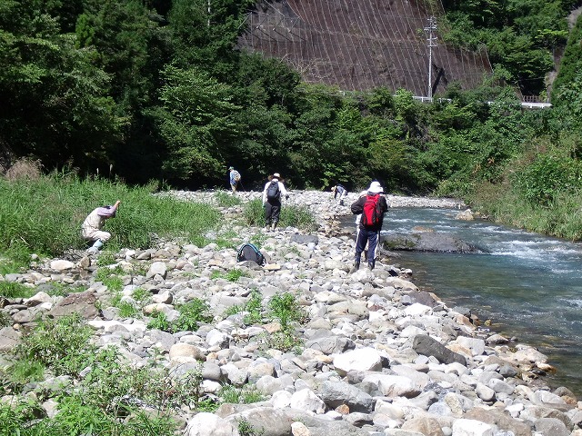 根尾川にて探石