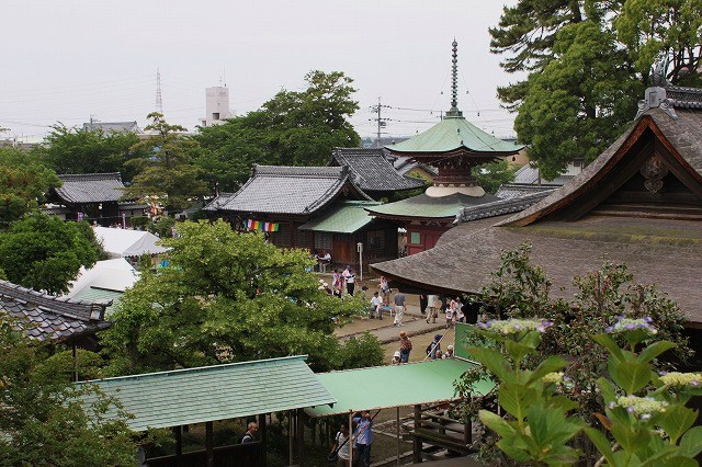 紫陽花寺「あじさい寺」