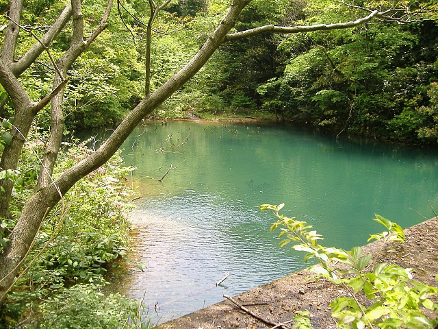 福井県のダム