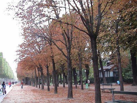 シャンゼリゼ大通りの並木道