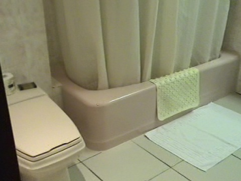 浴室＜圓山大飯店＞