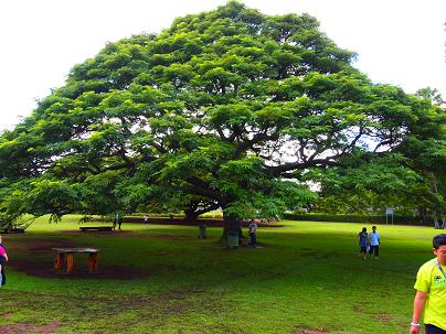 P1010628 - コピー.JPG