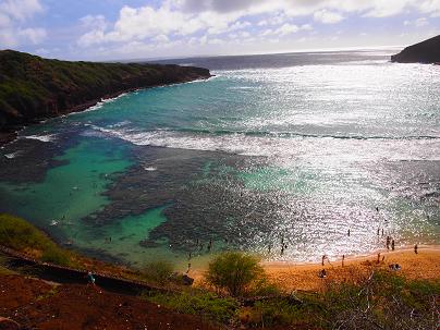 P1010559 - コピー.JPG