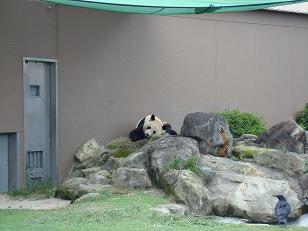 DSC01782.JPG