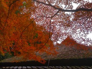 祇王寺