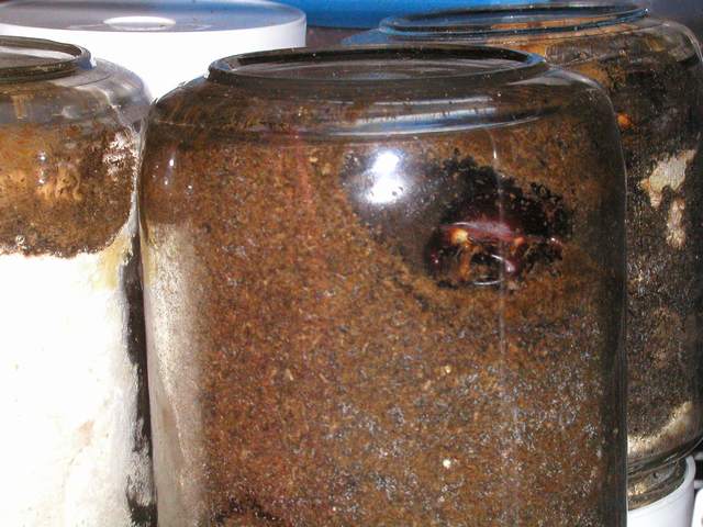 ６月５日２３時