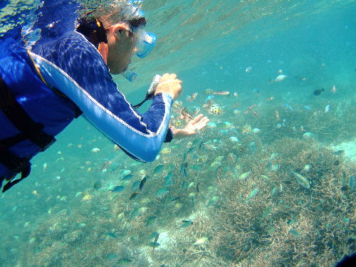 P1.jpg