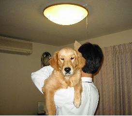 あっちゃん階段.jpg