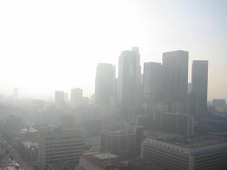 ロス市庁舎景色.jpg