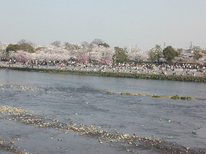 arashiyama