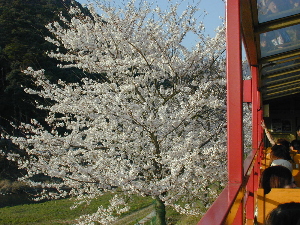 トロッコ
