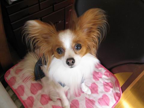 メルティ☆2007.3.4