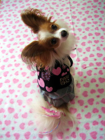 ハートワンピ試着ちゅう★08.9.14