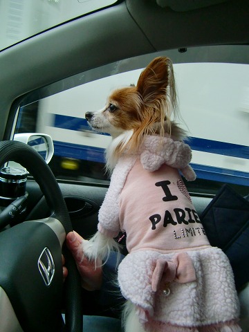 メルティ運転なう♪12.1.16