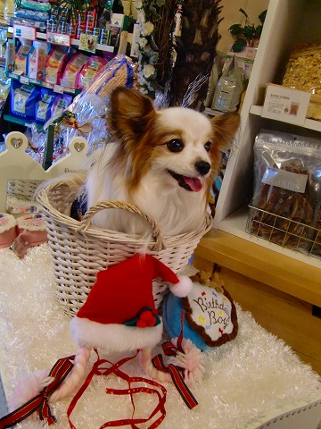 ジュピちゃんも～