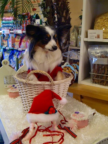 クレちゃんも～