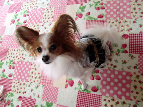 メルティ☆09.11.12