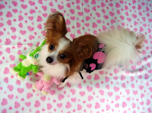 ハートワンピ試着☆08.9.14