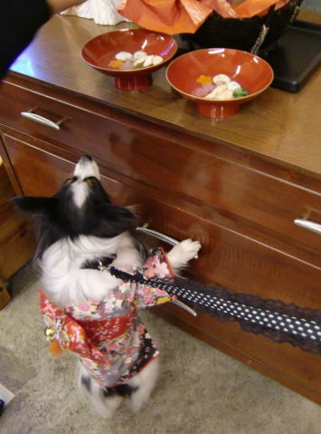 美味しそう～♪09.1.5