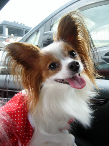 超ご機嫌なの～♪08.9.15