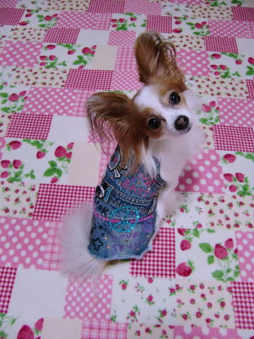 メルティ☆09.11.6