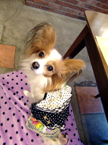 メルティ☆09.11.11