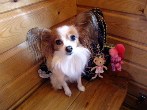 陽だまりにて。。。09.11.8