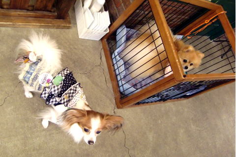 ツーショット?09.11.9