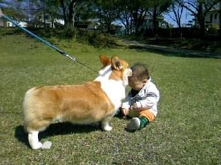 2010-04-25 14:28:28
